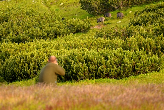 Bohužiaľ bez úspechu