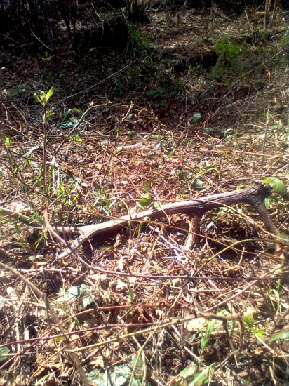 dnes,  do paru k 163477