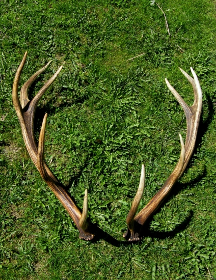 tohorocny par z minuleho roku