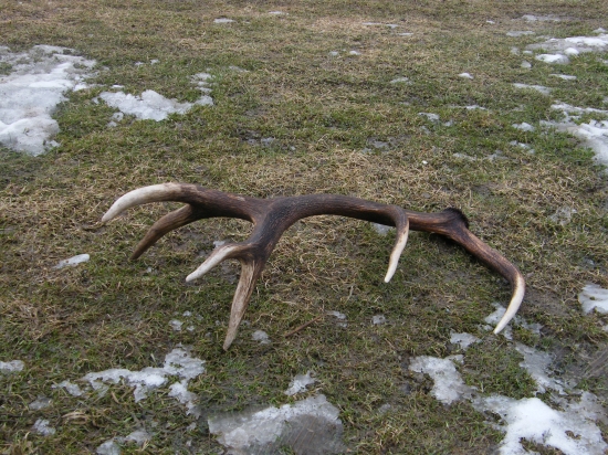 prvy tohorocny 12torak