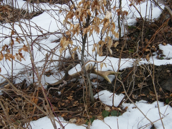 skoda, ze som ho nenasiel skor