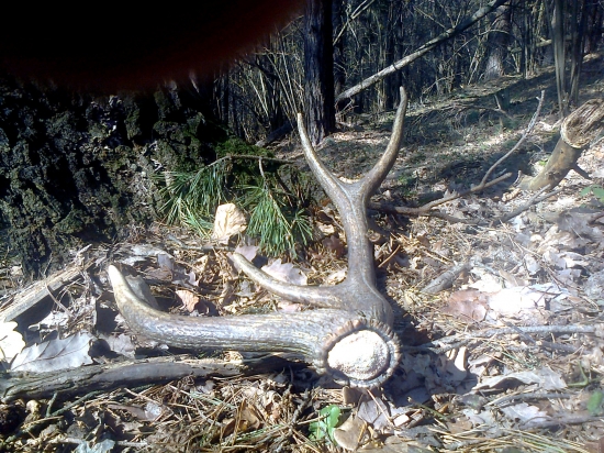 prvy tohorocny, nic moc, ale pocita sa