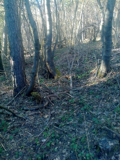 jeden z tohoročných..