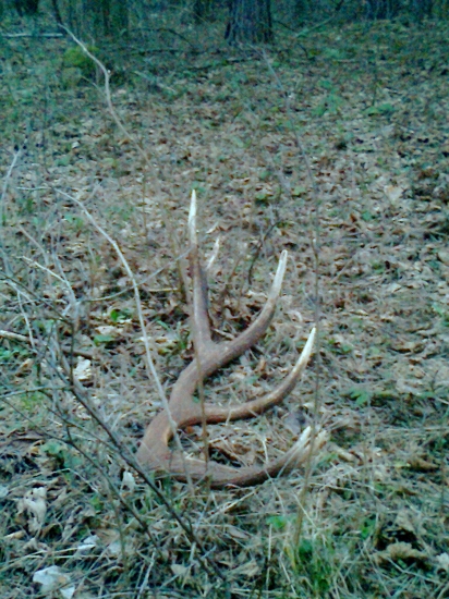 do paru - dvanastorak