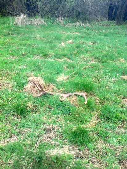 konecne, skoro po mesiaci sa postastilo...