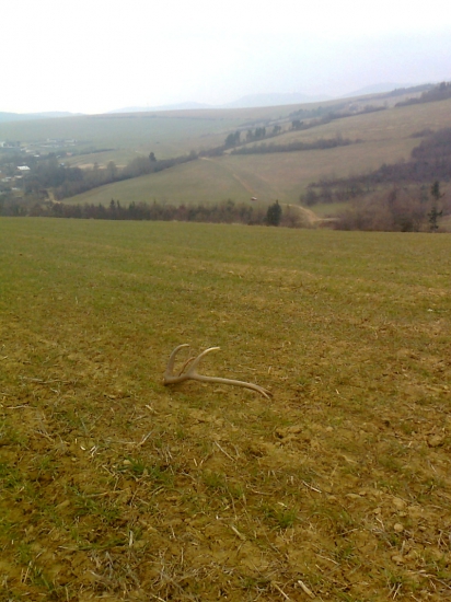 Biela sobota ani tento rok nesklamala