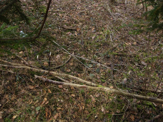 dnesny desatorak..opat spolu