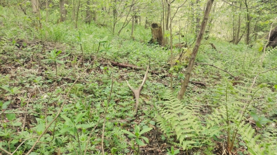 dnešny 2kg desatorak