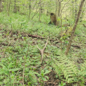 dnešny 2kg desatorak