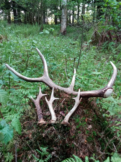 Dnesny nevsedny nalez