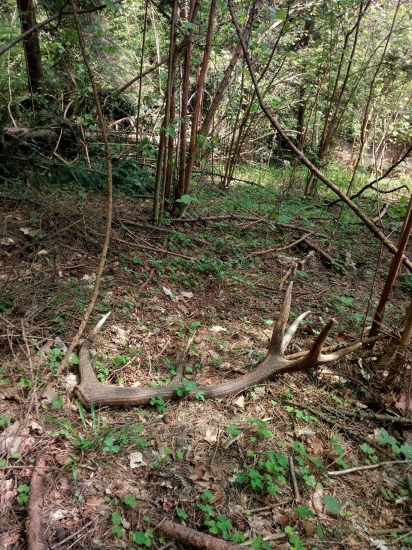 pekny 12torak na zaver sezony