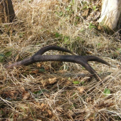 minuloročný, ale potešil