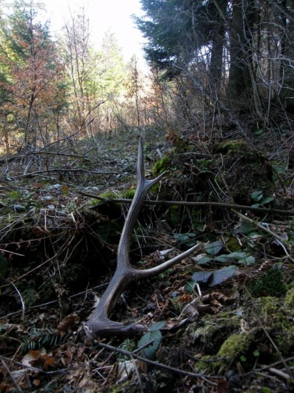 takto na mňa čakal