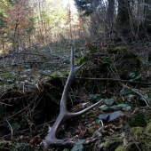 takto na mňa čakal