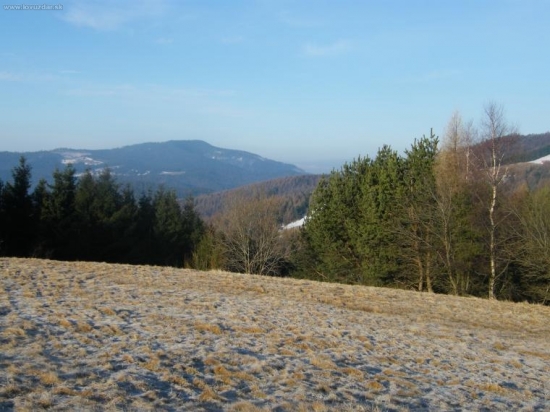 Smrekovica z Mindžovej