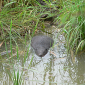 A jeden malí kukuč do objektývu