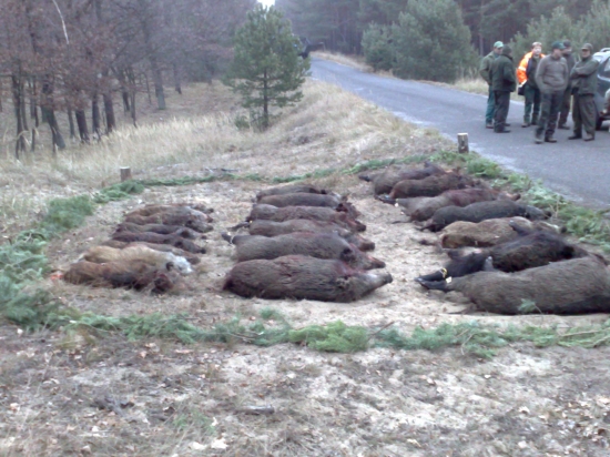 spoločna polavačka VLM-Malacky