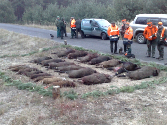 spoločna polavačka VLM-Malacky 2