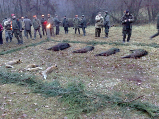 spoločna polavačka-Chropov