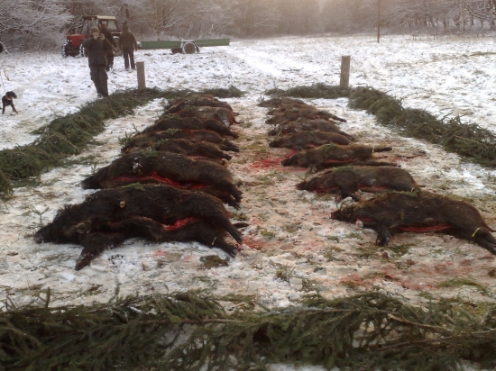 spoločna polavačka-Chropov 27:11:2010