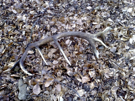 14 torak...:-D tohtoročny