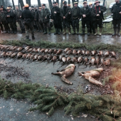 Spoločná poľovačka na bažanty