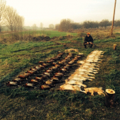 Jedna z pekných poľovačiek PZ-Letničie