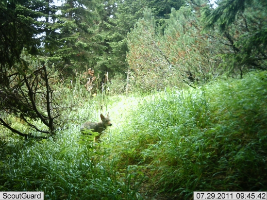 ešte som len malý,ale počkajte...