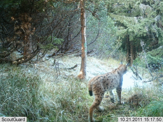 posledný z veľkej trojky