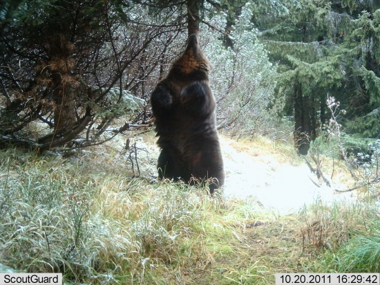 pekne pripravený na zimu