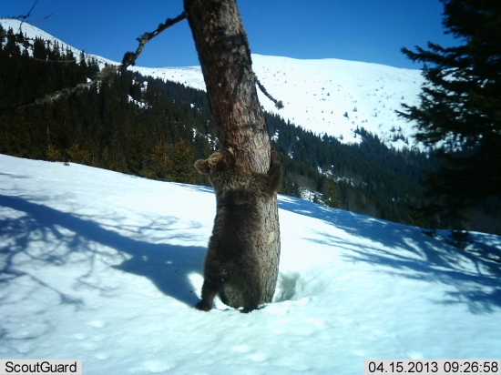 ešte trocha a budem až hore