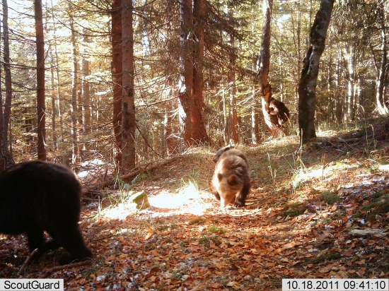Tak a máme tu celú rodinku