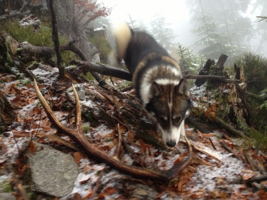 Čo sa nám dnes podarilo