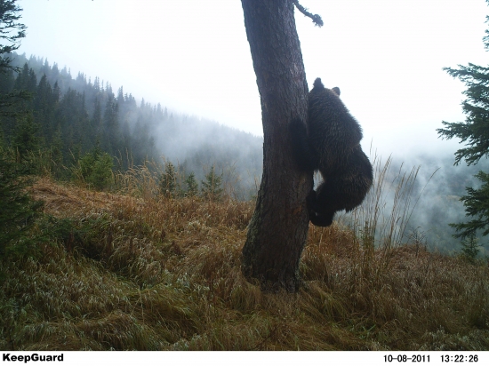 Tak označím to aj tak najvyššie