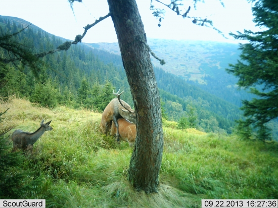 Mama čo to robíte?