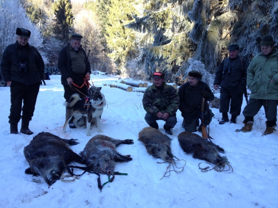 Dnes sa nám zase darilo