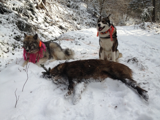 úspešná dohľadávka