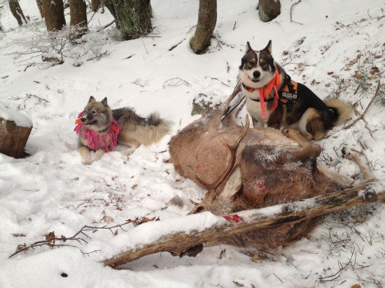 další spoločný úspech