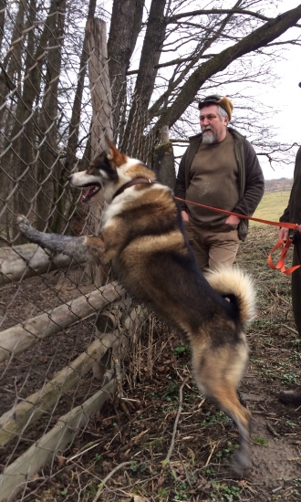 Pred diviačím oplôtkom