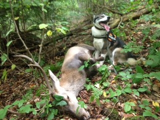 Spomienka na môjho prvého