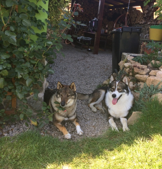 Oddych po párení s holandskou priateľkou