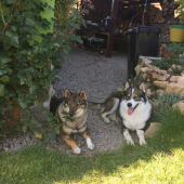 Oddych po párení s holandskou priateľkou