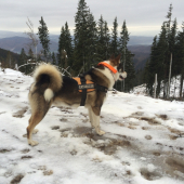 dnešné biele ráno v práci