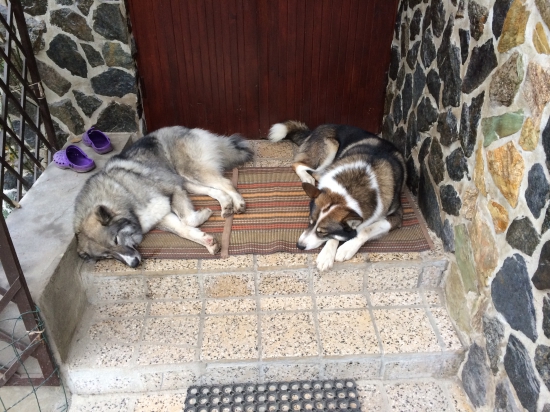 oddych po poľovačke