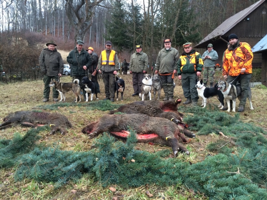 Lajky zas nesklamali