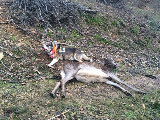 ešte jedna pred snehom