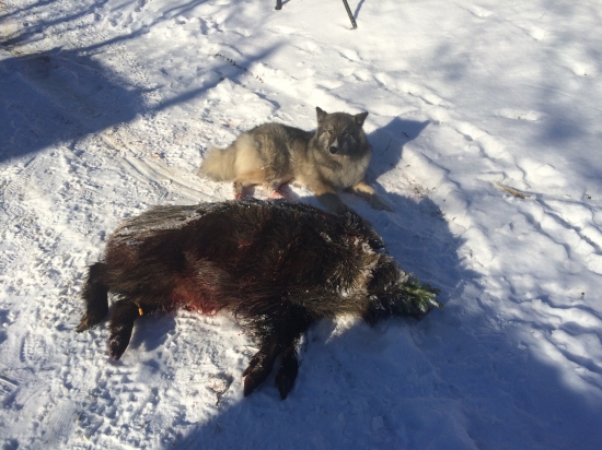 už sa to znova začalo:)))