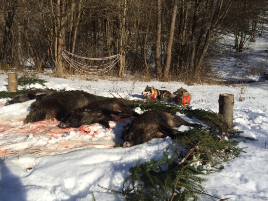 a tu je celý náš výsledok