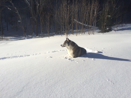 ked už aj na lajku je veľa snehu