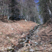 na zhodoch